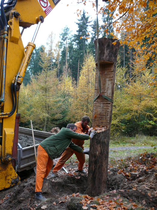 NS Lesem Království – 2007 – Budujeme